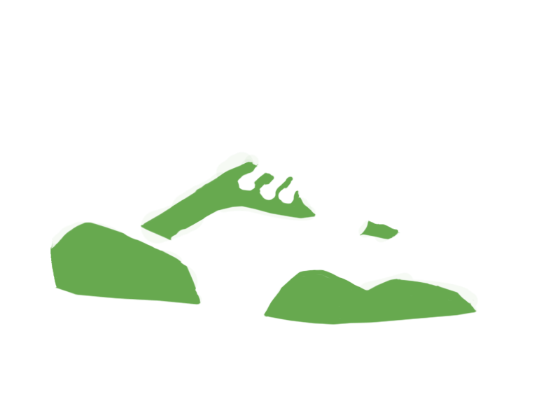 LIME LEATHER
