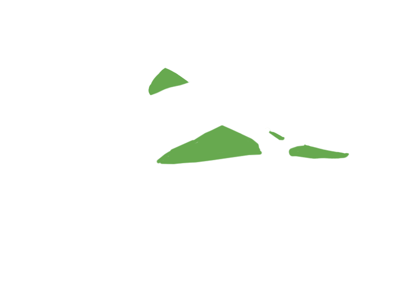 LIME LEATHER