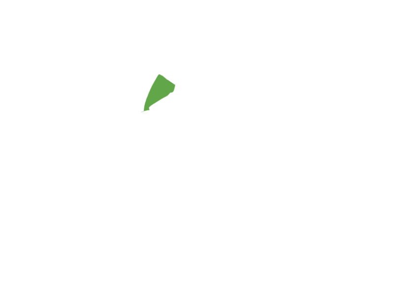 LIME LEATHER
