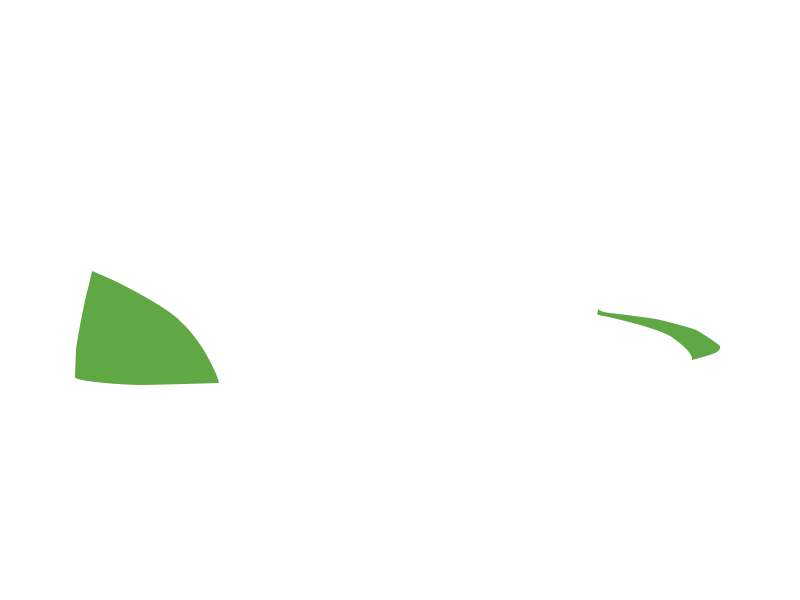 LIME LEATHER