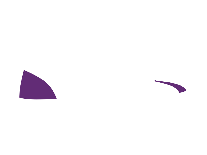 MAUVE LEATHER
