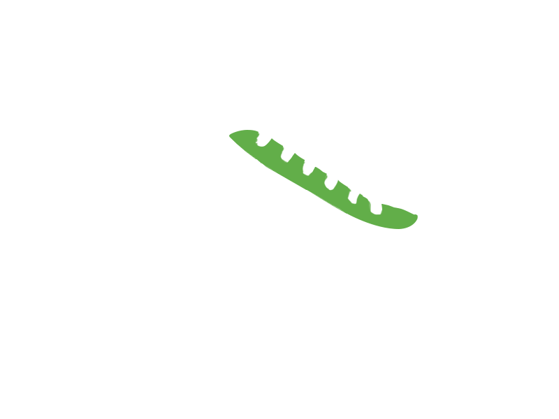 LIME LEATHER