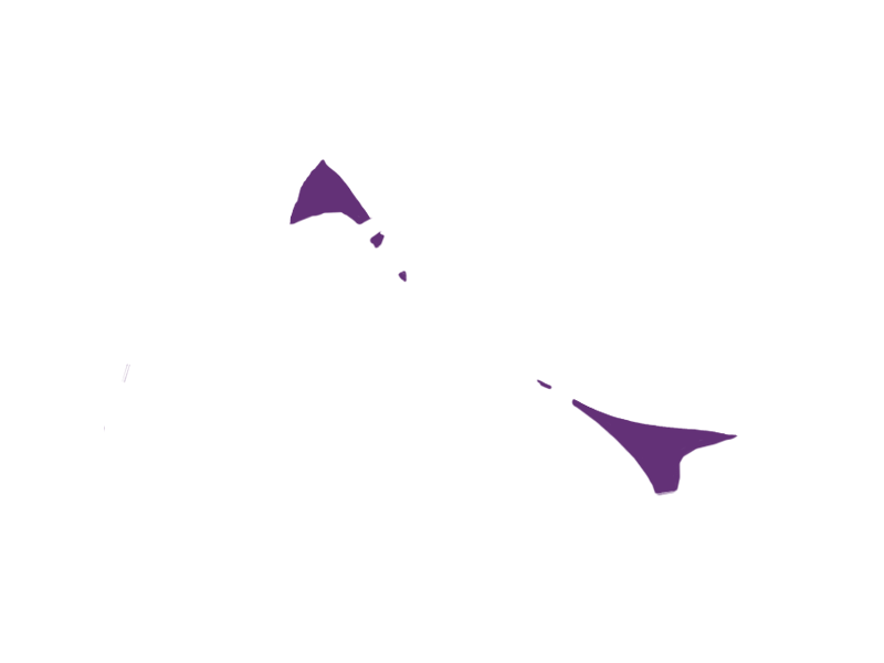 MAUVE LEATHER