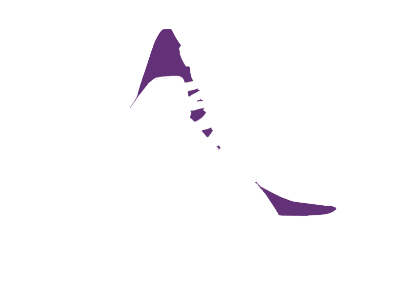 MAUVE LEATHER