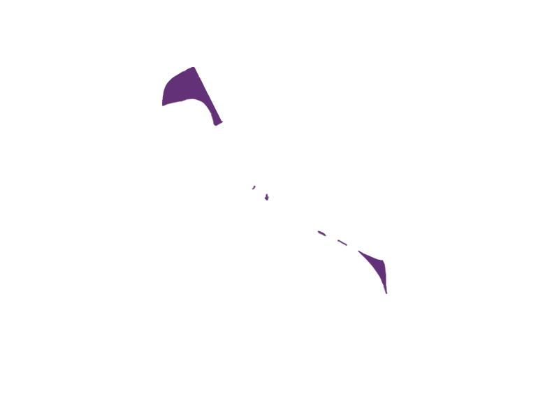 MAUVE LEATHER