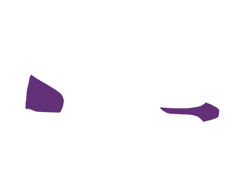 MAUVE LEATHER