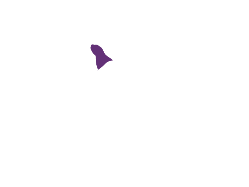 MAUVE LEATHER