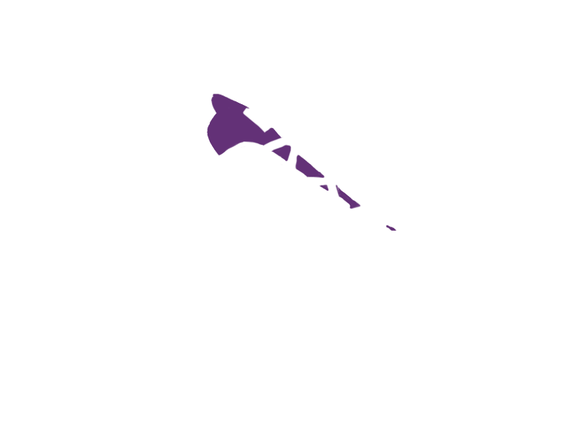 MAUVE LEATHER