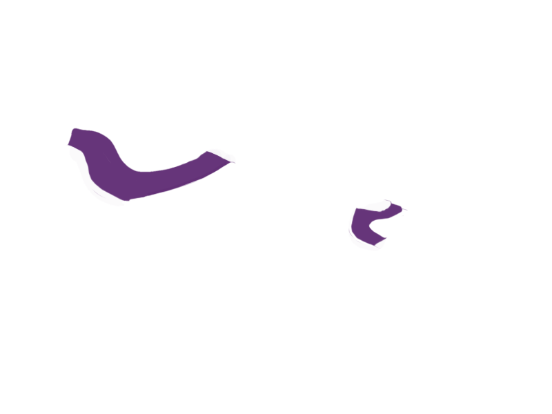 MAUVE LEATHER