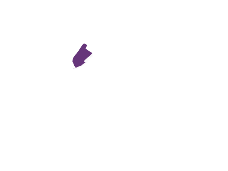 MAUVE LEATHER