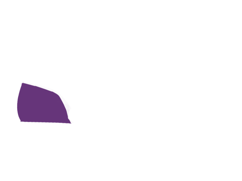 MAUVE LEATHER