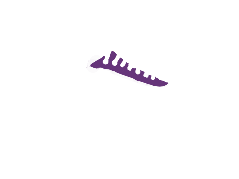 MAUVE LEATHER