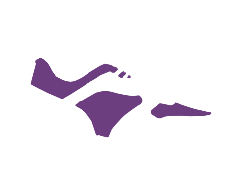 MAUVE LEATHER