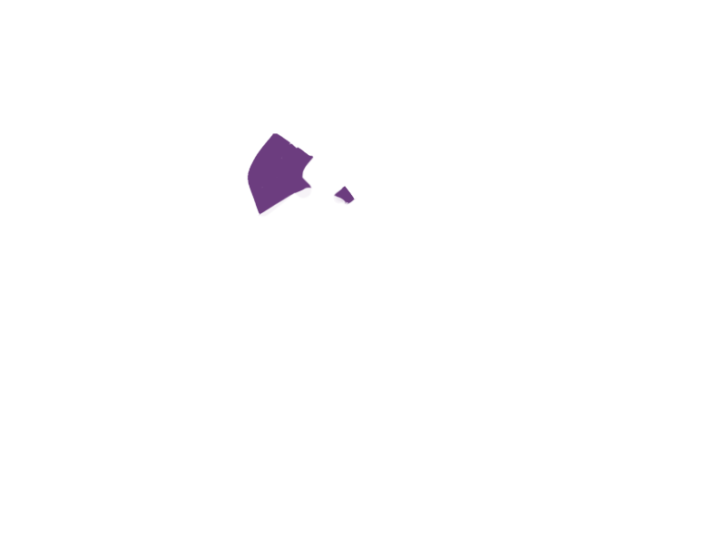 MAUVE LEATHER