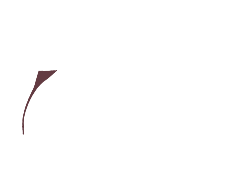 WINE LEATHER