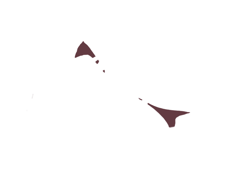 WINE LEATHER