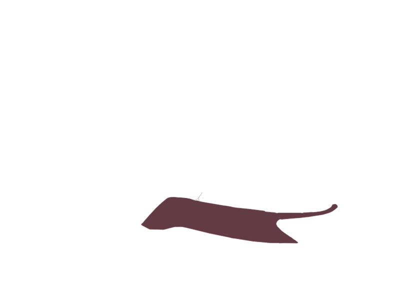 WINE LEATHER