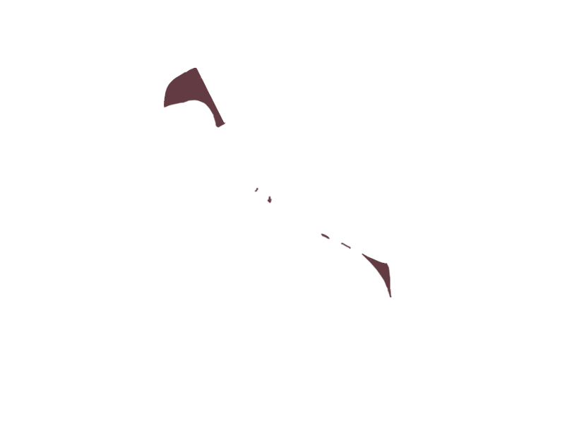WINE LEATHER