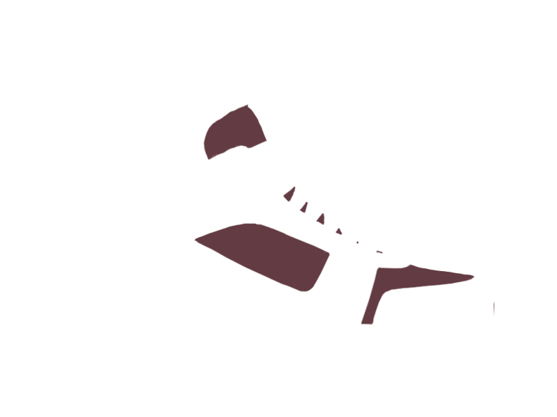 WINE LEATHER