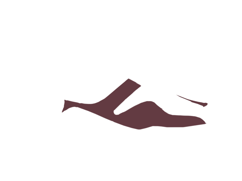WINE LEATHER