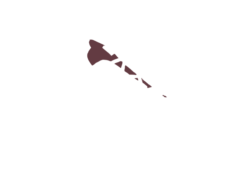 WINE LEATHER