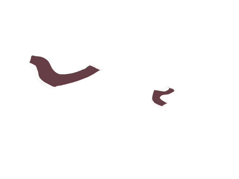 WINE LEATHER