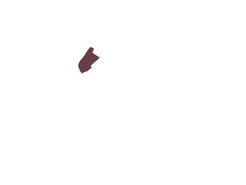WINE LEATHER
