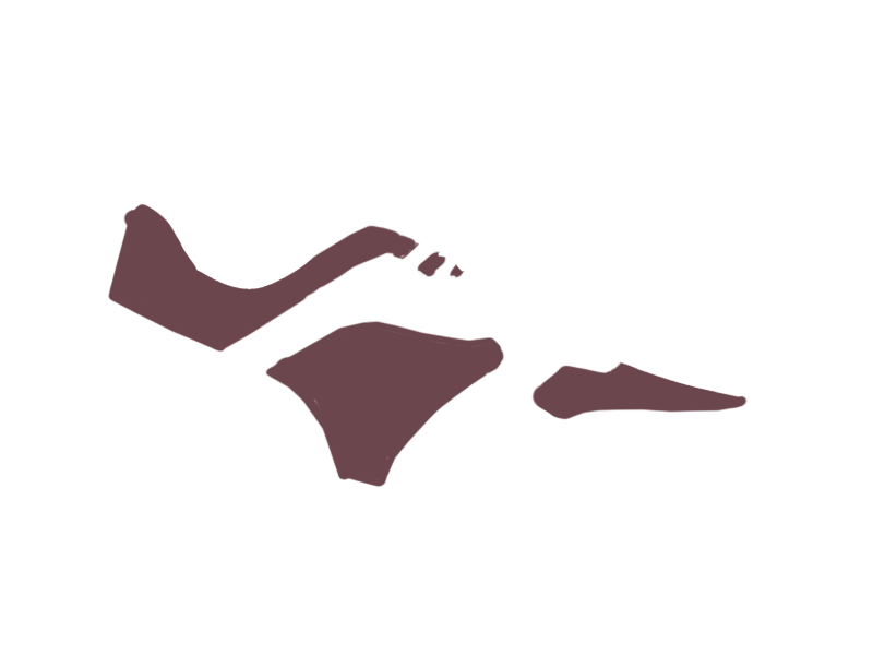 WINE LEATHER