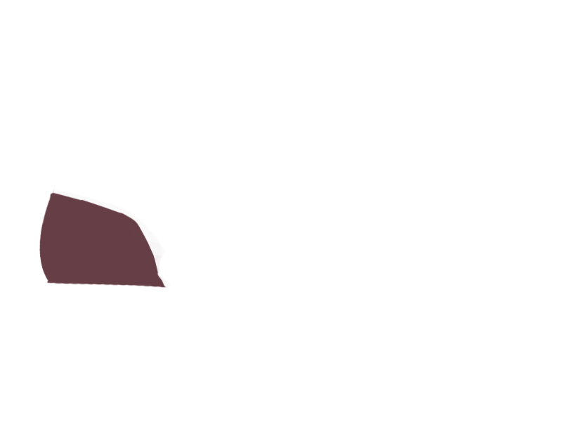 WINE LEATHER