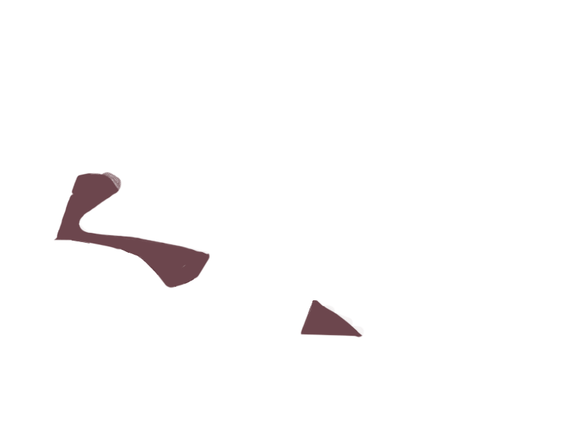 WINE LEATHER