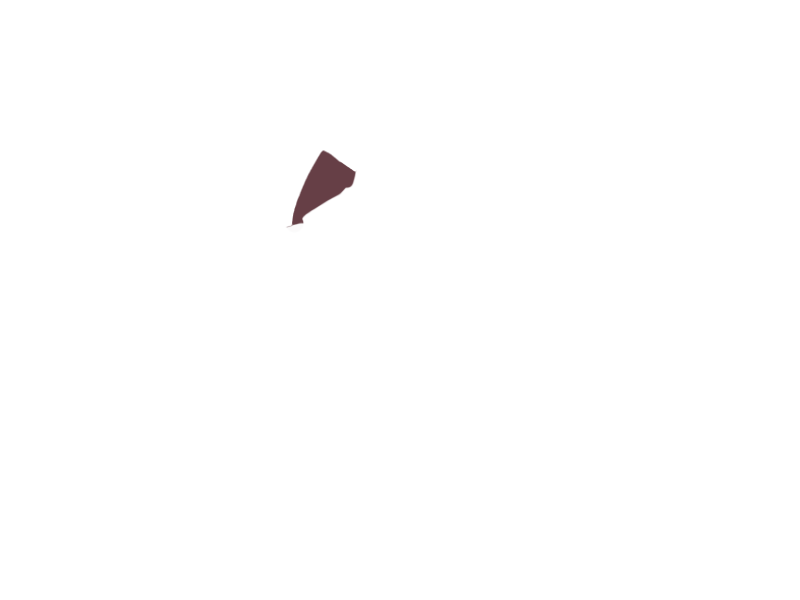 WINE LEATHER