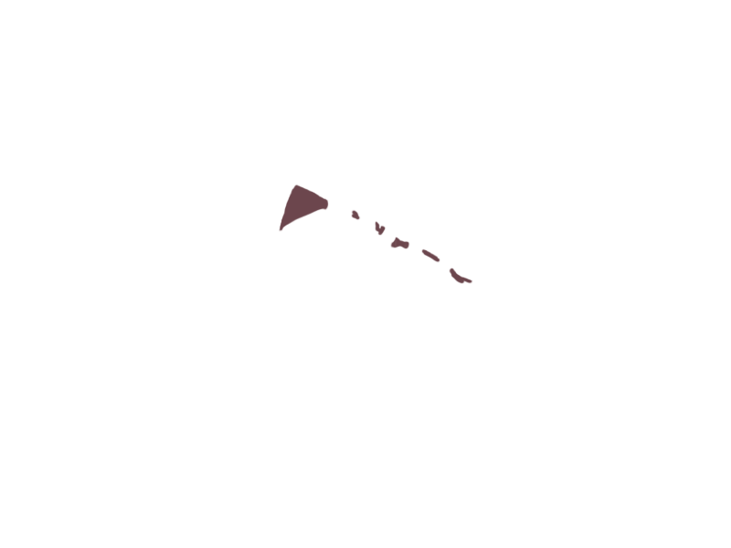 WINE LEATHER