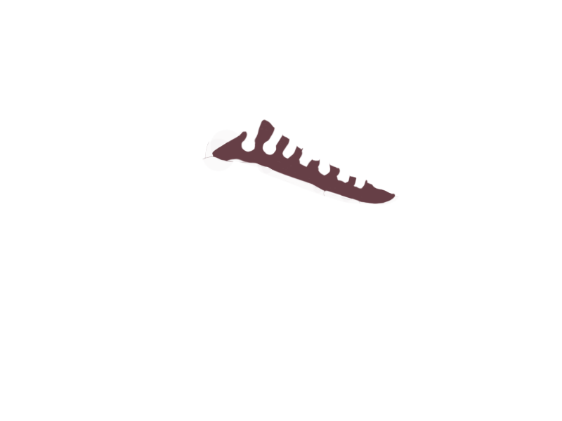 WINE LEATHER