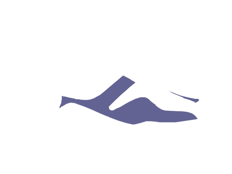 VIOLET LEATHER