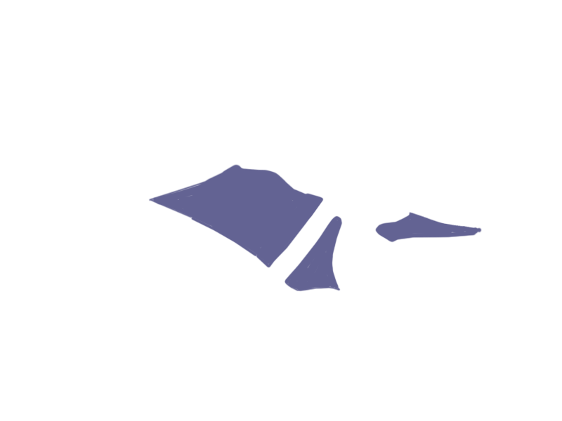 VIOLET LEATHER