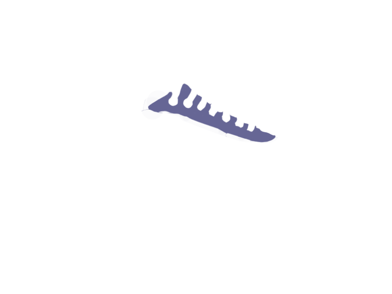 VIOLET LEATHER