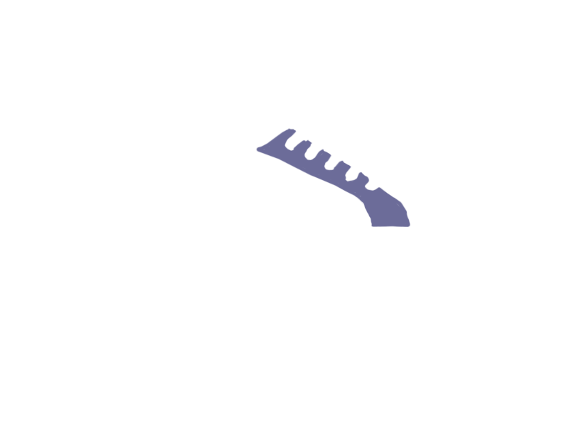 VIOLET LEATHER