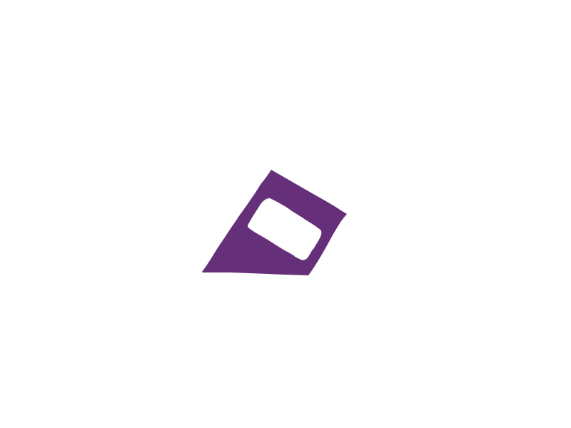 VIOLET LEATHER