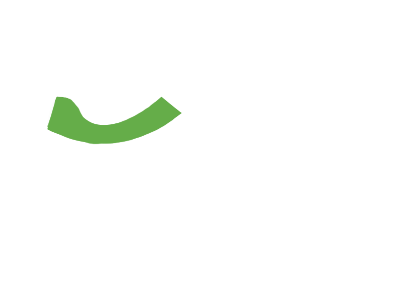 LIME LEATHER