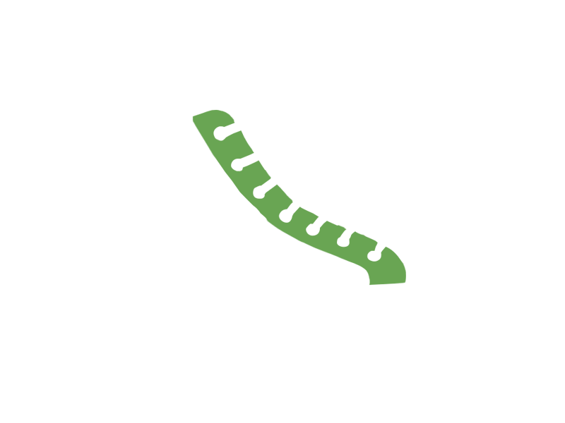 LIME LEATHER