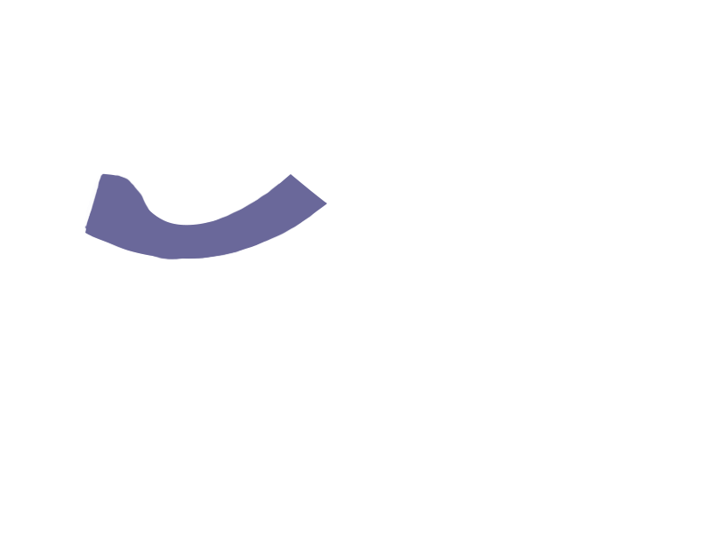 VIOLET LEATHER
