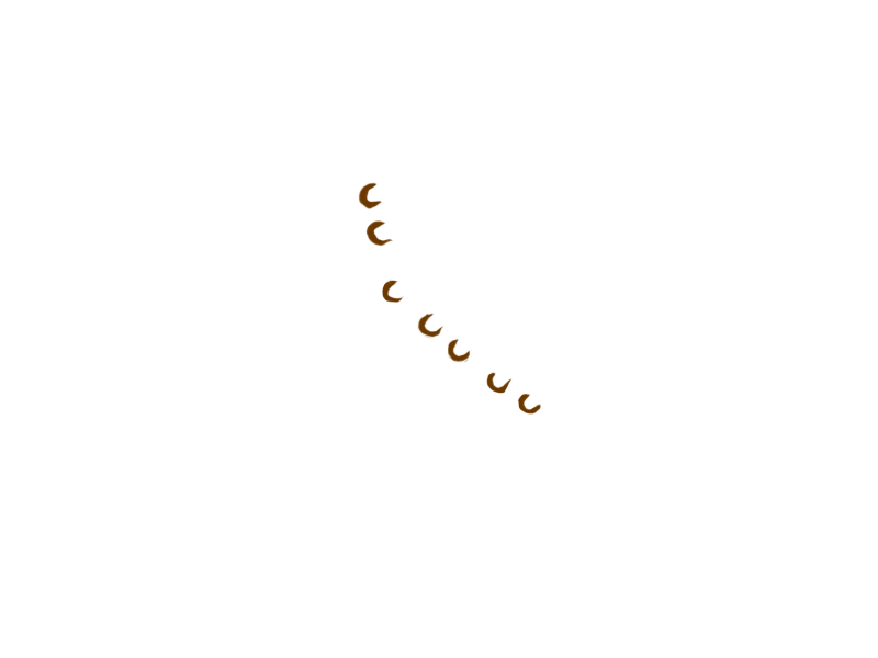 BRONZE