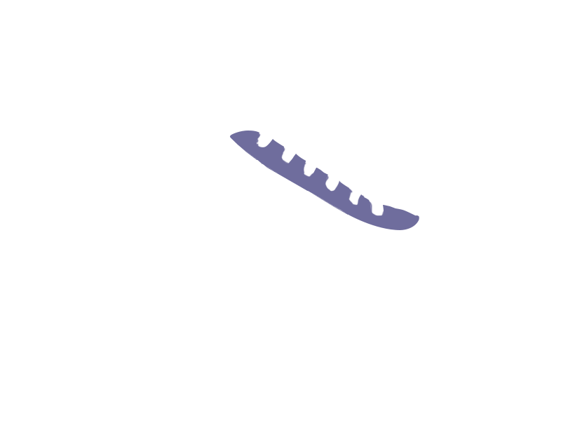 VIOLET LEATHER