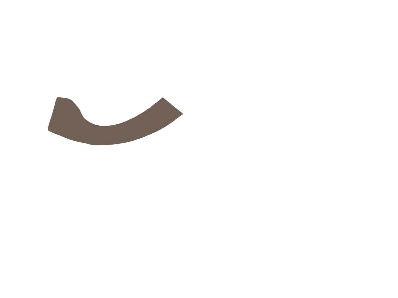 EARTH LEATHER