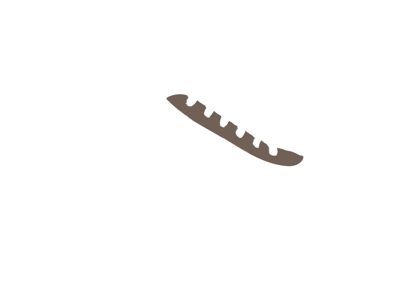 EARTH LEATHER