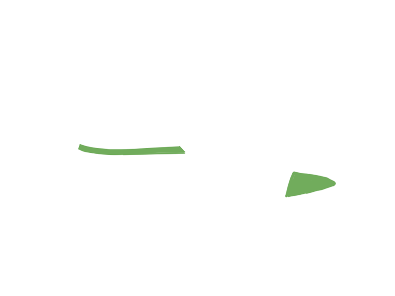 LIME LEATHER