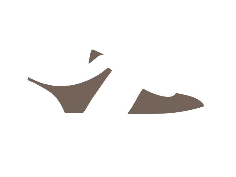EARTH LEATHER