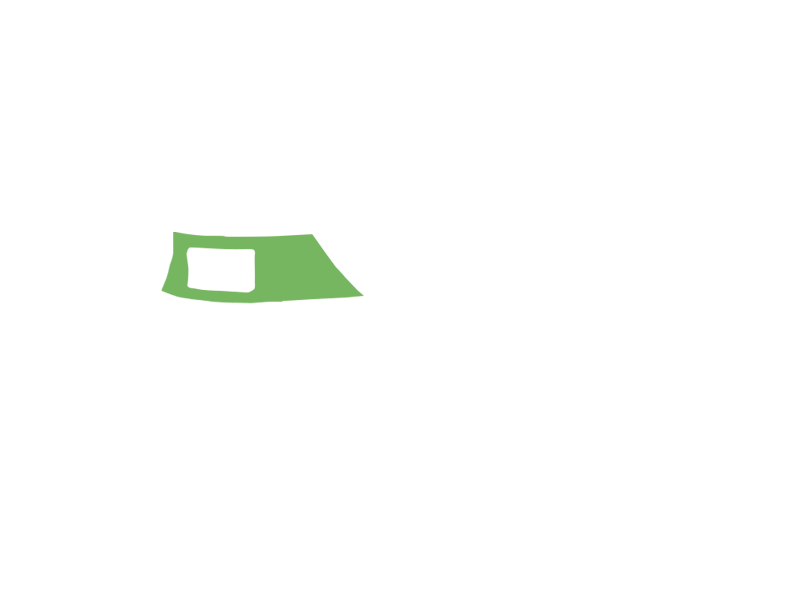LIME LEATHER