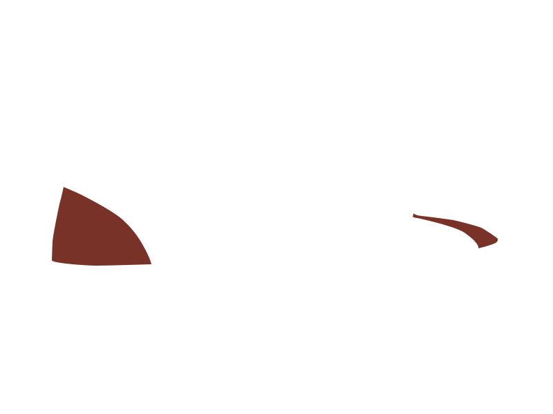 REDSKIN LEATHER