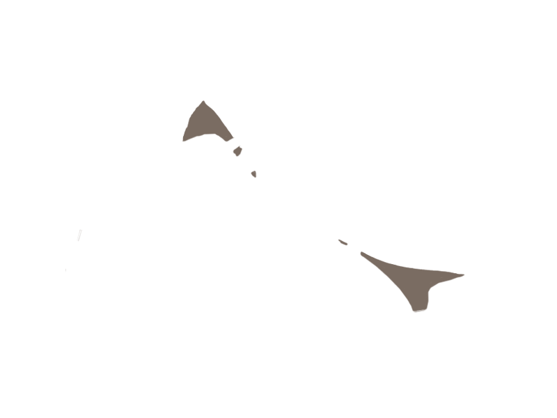 EARTH LEATHER